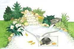 Bomba PondoMax Eco 5000