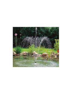 Bomba Pondovario Oase