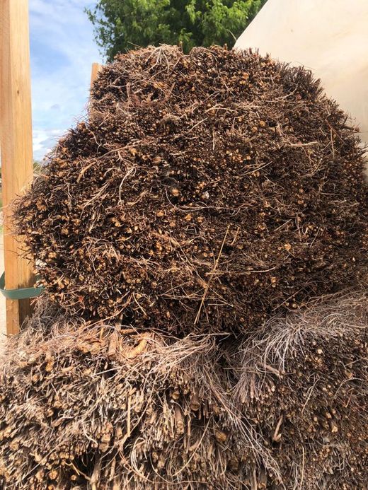 Brezo nacional rollo 1,20 x 3 m