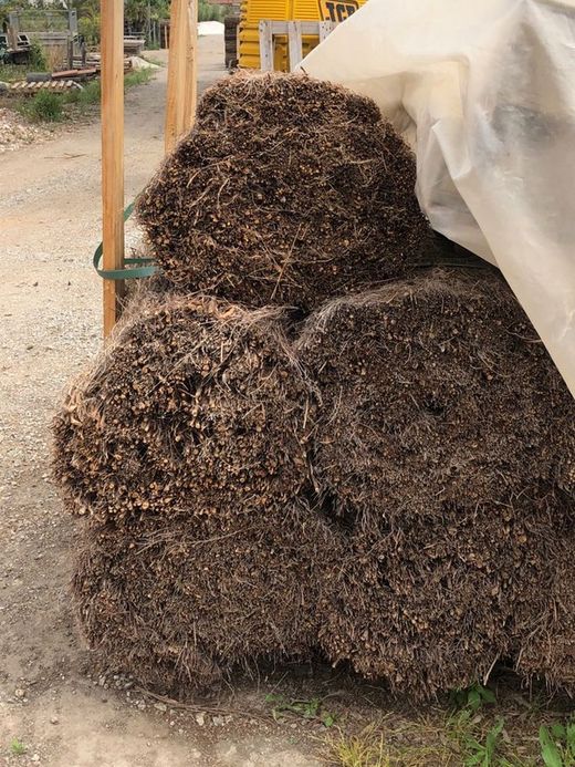 Brezo nacional rollo 0,8 x 3 m