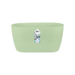 Brussels Orchid Duo 25Cm Soft Green Elho®