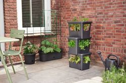 Caja de cultivo Green Basics Stack&Grow large Elho®