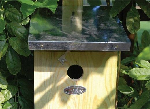 Caja nido grande para carbonero