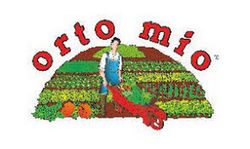 Calabacin Alberello 4 Plantas En Pack