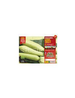 Calabacín Blanco Largo Majistee 4 Plantas en Pack
