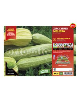 Calabacín Claro Flor Melissa Altea 4 Plantas en Pack