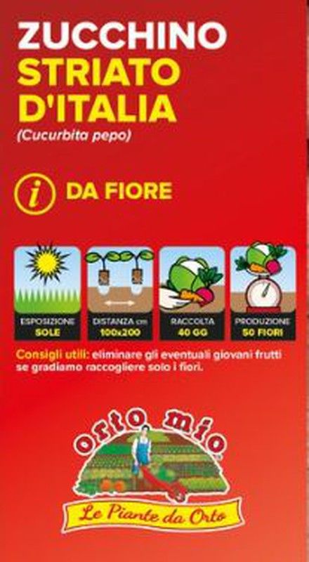 Calabacín de Flor Striato 4 Plantas en Pack