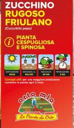Calabacin Friulano Rugoso 4 Plantas En Pack