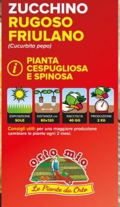 Calabacin Friulano Rugoso 4 Plantas En Pack