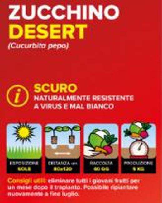 Calabacín Osuro Aloha F1 4 Plantas en Pack