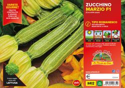 Calabacin Romanesco Floridus F1 4 Plantas en Pack
