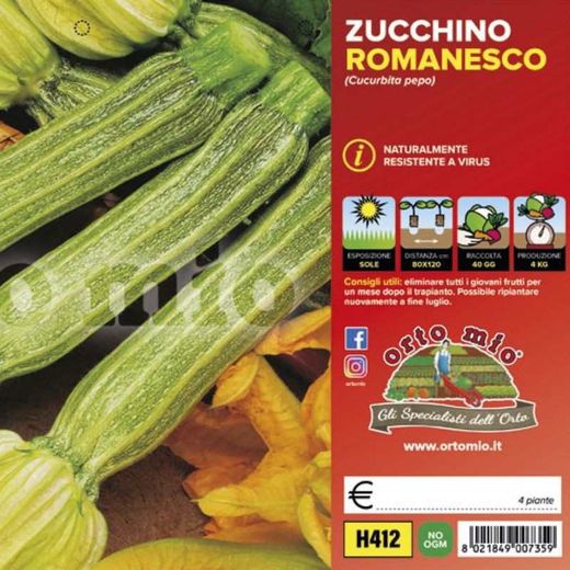 Calabacin Romanesco Floridus F1 4 Plantas en Pack