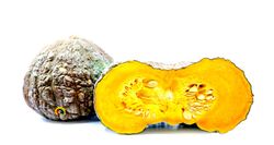 Calabaza Marina Chioggia 4 Plantas en Pack