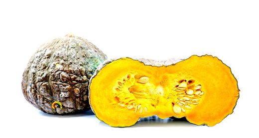 Calabaza Marina Chioggia 4 Plantas en Pack