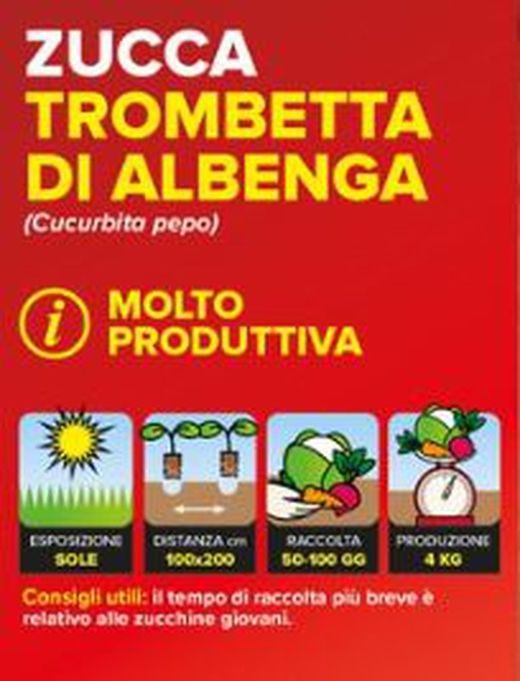 Calabaza Trompeta Albanga 4 Plantas en Pack