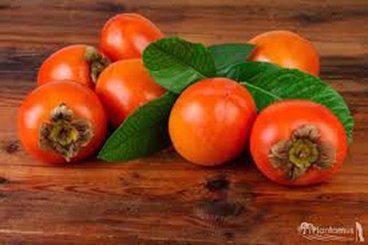 CAQUI ROJO BRILLANTE Diospyros kaki 4/6 C-19