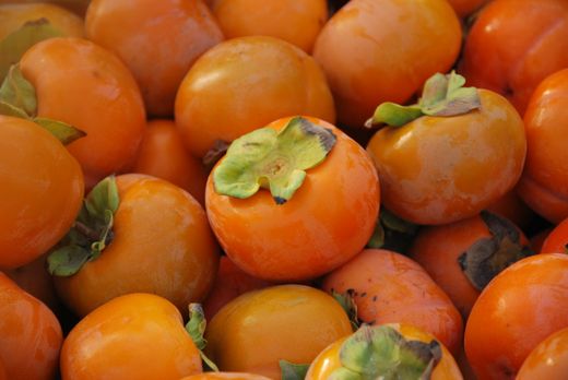 Caqui Sharon C-26 ITALIA