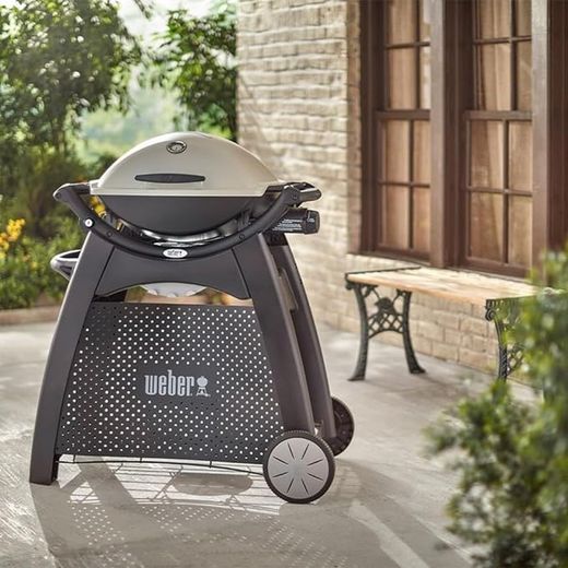 Carro deluxe q 2000 Weber