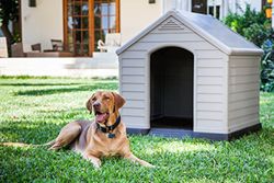 Caseta de Perro - Curver
