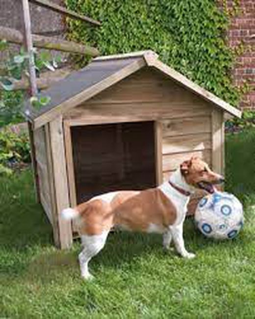 Caseta Willow 98/114X101/120XH100 Forest Style con techo asfáltico abatible 2 lados