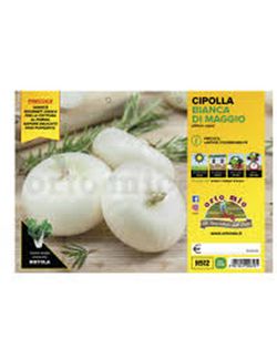 Cebolla Blanca Plana de Mayo 12 Plantas en Pack