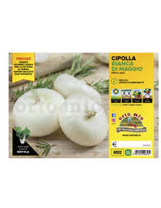 Cebolla Blanca Plana de Mayo 12 Plantas en Pack
