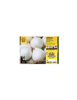 Cebolla Blanca Redonda Musona y Agostana 12 Plantas en Pack