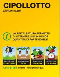 Cebolla Blanca Tierna Cipollotto 12 Plantas Pack