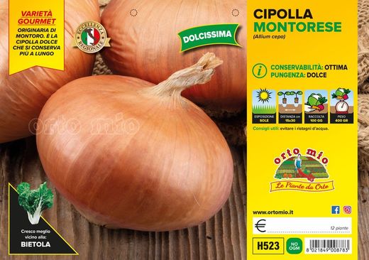 Cebolla Plana Napolitana 12 Plantas en Pack