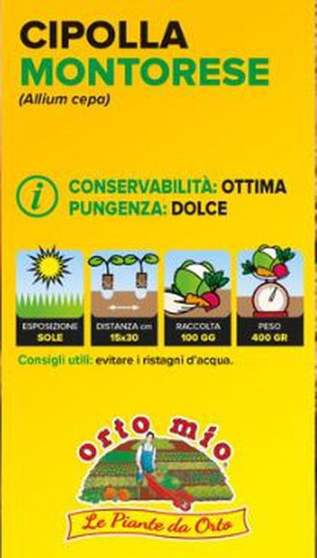 Cebolla Plana Napolitana 12 Plantas en Pack