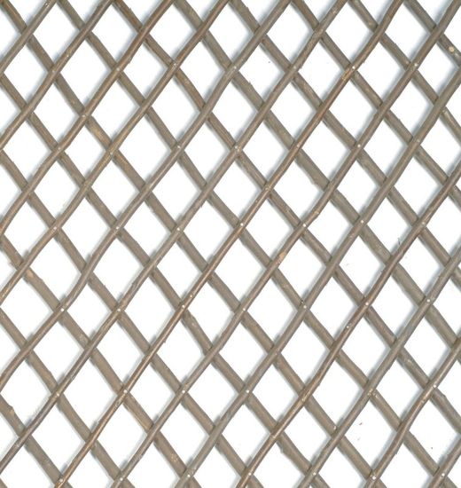 Celosia Willow Trellis 0,5x1,5m Nortene