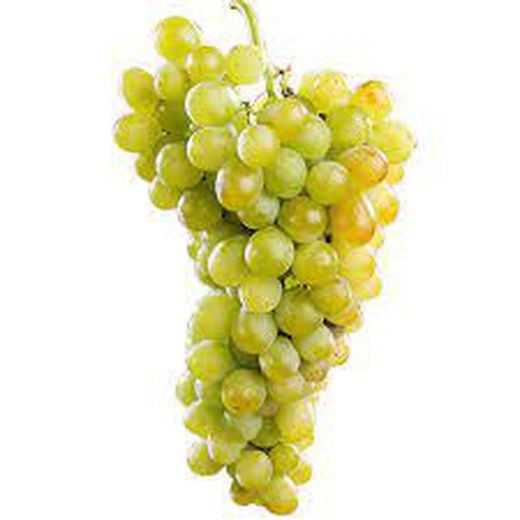 Cepa Pie Bajo - uva de mesa C-19 Rosatti