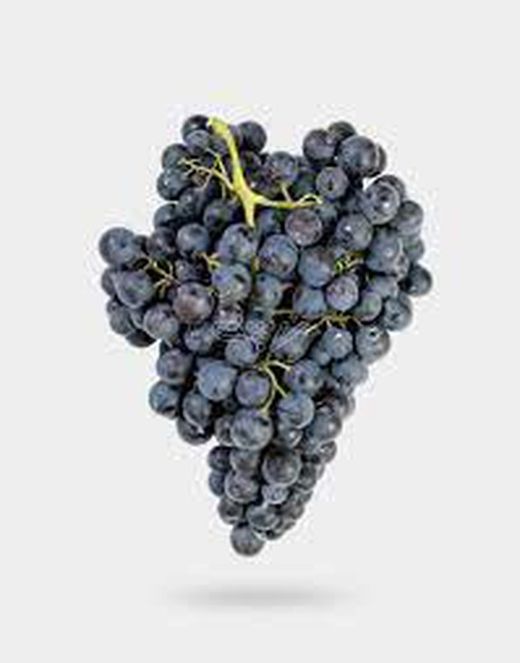Cepa Pie Bajo - uva para vino C-19 Tintorera