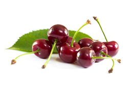 Cerezo Cereza Negra Agria C-24  ITALIA