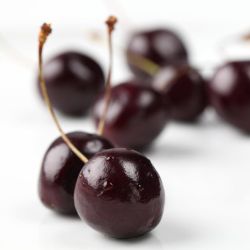 Cerezo Durone Negro Vignola (primeros de junio) CT-42 ITALIA