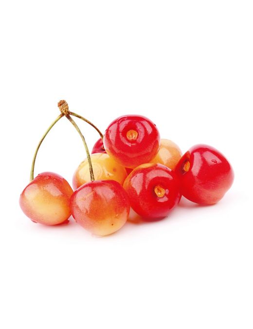 Cerezo Napoleon C-24  ITALIA