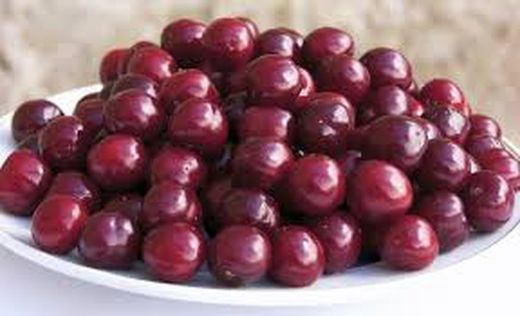 CEREZO PICOTA  Prunus cerasus 4/6 C-19