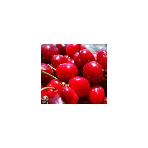 CEREZO SUMMIT Prunus cerasus 6/8 C-25