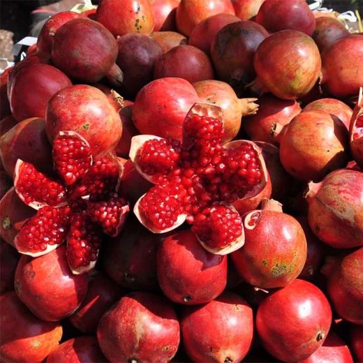 Granado Wonderfull  Punica granatum 6/8 C-25