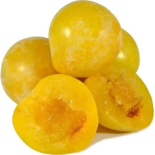 Ciruela Gota De Oro C-24 ITALIA