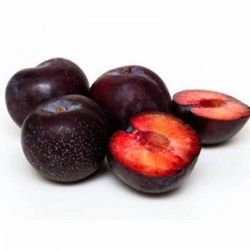 Ciruelo Black Gold CT.42  ITALIA