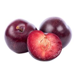 CIRUELO CIRUELO METLEY Prunus domestica 4/6 C-19