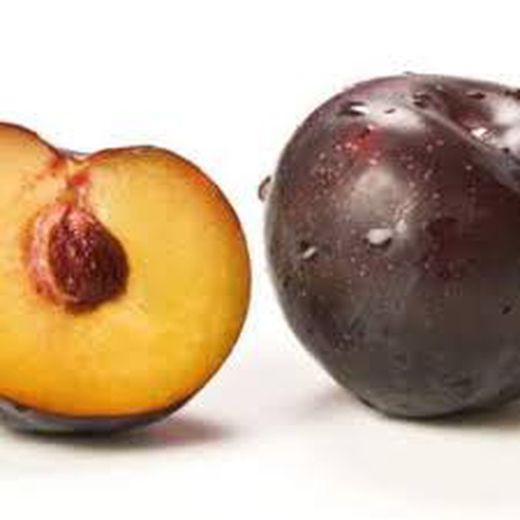 CIRUELO FRIAR Prunus domestica 6/8 C-25