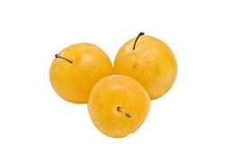 CIRUELO GOLDEN JAPAN Prunus domestica 4/6 C-19