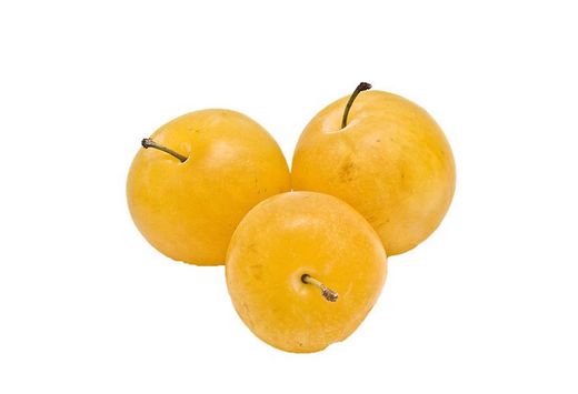 CIRUELO GOLDEN JAPAN Prunus domestica 6/8 C-25