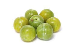 CIRUELO O R.C.D'OULLINS Prunus domestica 6/8 C-25