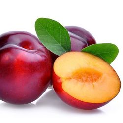 CIRUELO (Prunus domestica) 6/8 FORMOSA C-24  ITALIA