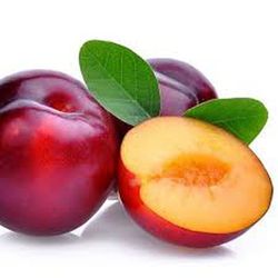 CIRUELO SANTA ROSA Prunus domestica 6/8 C-25