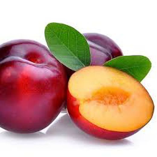 CIRUELO SANTA ROSA Prunus domestica 6/8 C-25