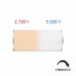 Lámpara portatil Converse 2,5W 360º LED